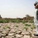 چگونه سیستان و بلوچستان «خشک» شد؟